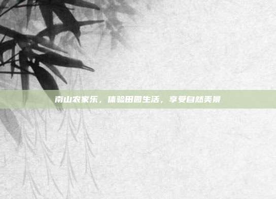 南山农家乐，体验田园生活，享受自然美景