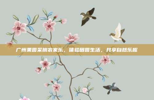 广州果园采摘农家乐，体验田园生活，共享自然乐趣