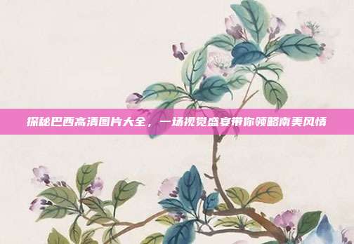 探秘巴西高清图片大全，一场视觉盛宴带你领略南美风情