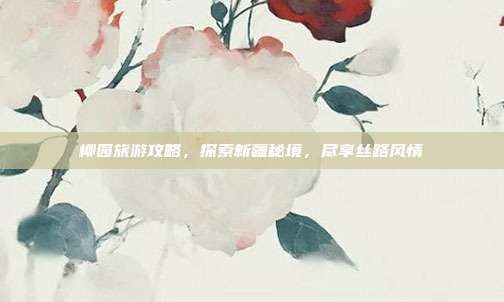 柳园旅游攻略，探索新疆秘境，尽享丝路风情