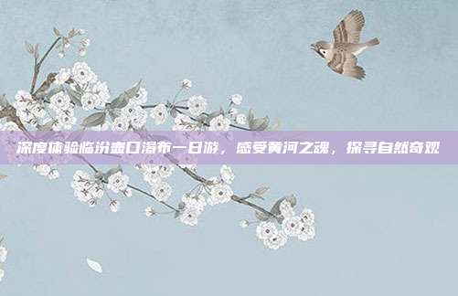 深度体验临汾壶口瀑布一日游，感受黄河之魂，探寻自然奇观