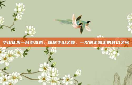 华山徒步一日游攻略，探秘华山之巅，一次说走就走的登山之旅