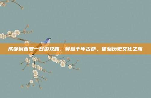 成都到西安一日游攻略，穿越千年古都，体验历史文化之旅