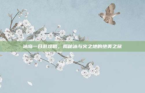冰岛一日游攻略，揭秘冰与火之地的绝美之旅