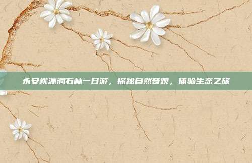 永安桃源洞石林一日游，探秘自然奇观，体验生态之旅