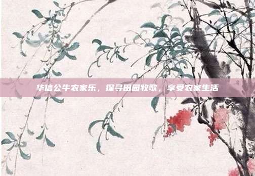 华信公牛农家乐，探寻田园牧歌，享受农家生活