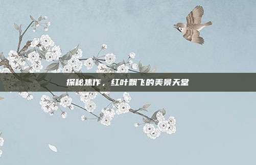 探秘焦作，红叶飘飞的美景天堂