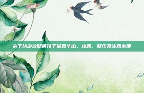 亲子旅游攻略带孩子攀登华山，攻略、路线及注意事项