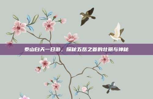 泰山白天一日游，探秘五岳之首的壮丽与神秘