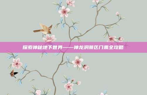 探索神秘地下世界——神龙洞景区门票全攻略