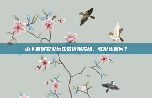 雨卜苗寨农家乐住宿价格揭秘，性价比如何？