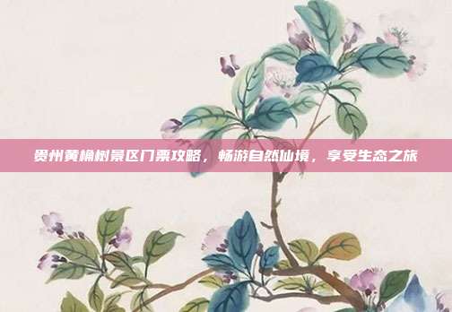 贵州黄桷树景区门票攻略，畅游自然仙境，享受生态之旅