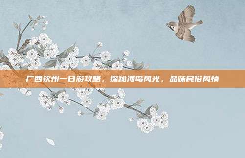 广西钦州一日游攻略，探秘海岛风光，品味民俗风情