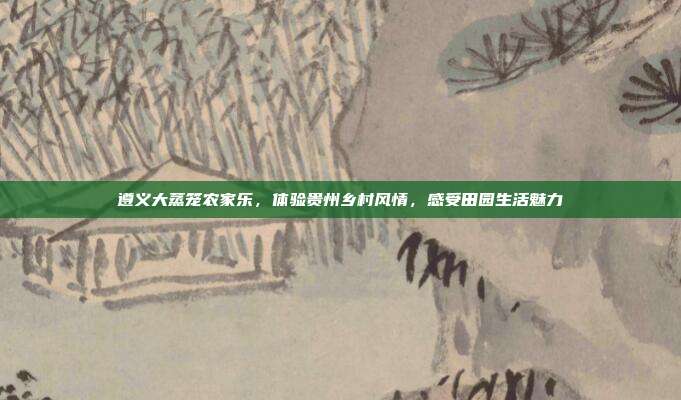 遵义大蒸笼农家乐，体验贵州乡村风情，感受田园生活魅力
