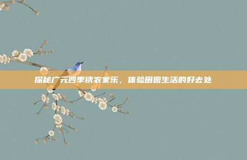 探秘广元四季锈农家乐，体验田园生活的好去处