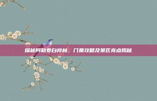 探秘阿勒泰白桦林，门票攻略及景区亮点揭秘