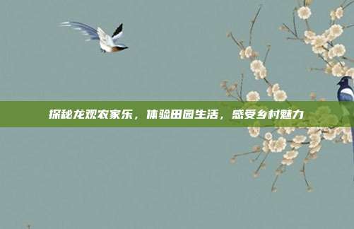 探秘龙观农家乐，体验田园生活，感受乡村魅力