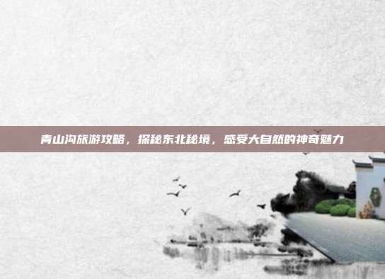 青山沟旅游攻略，探秘东北秘境，感受大自然的神奇魅力