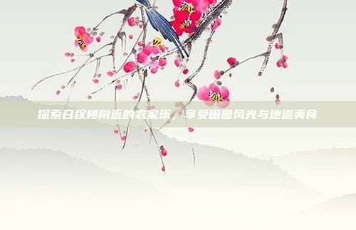 探索召稼楼附近的农家乐，享受田园风光与地道美食