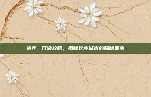 来宾一日游攻略，揭秘这座城市的隐秘瑰宝