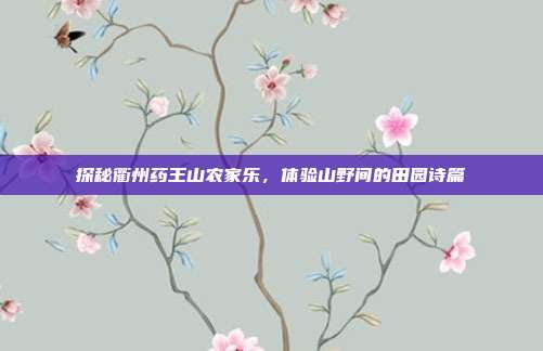 探秘衢州药王山农家乐，体验山野间的田园诗篇