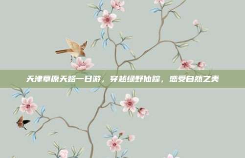 天津草原天路一日游，穿越绿野仙踪，感受自然之美