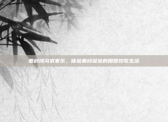 秦岭壕沟农家乐，体验秦岭深处的田园牧歌生活