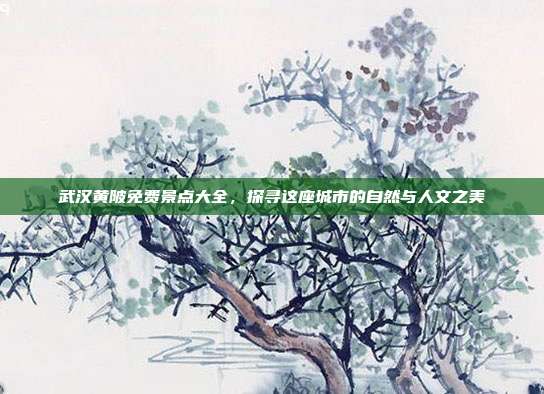 武汉黄陂免费景点大全，探寻这座城市的自然与人文之美
