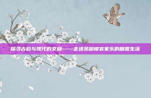 探寻古韵与现代的交融——走进吊脚楼农家乐的田园生活