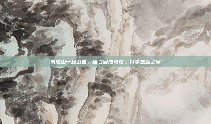 凤凰山一日游团，探寻自然奇观，尽享生态之旅