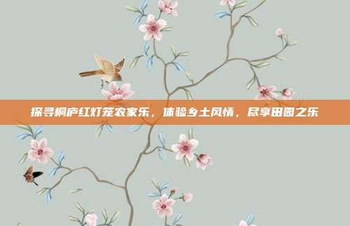探寻桐庐红灯笼农家乐，体验乡土风情，尽享田园之乐