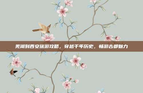 芜湖到西安旅游攻略，穿越千年历史，畅游古都魅力