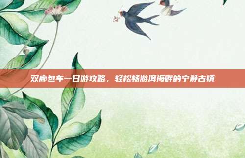 双廊包车一日游攻略，轻松畅游洱海畔的宁静古镇