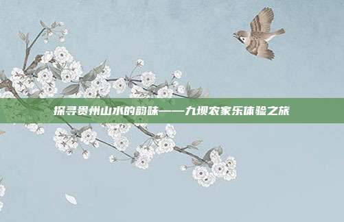 探寻贵州山水的韵味——九坝农家乐体验之旅
