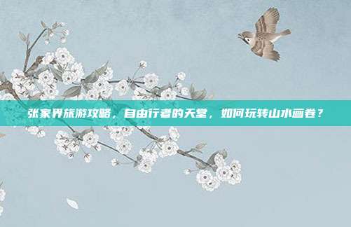 张家界旅游攻略，自由行者的天堂，如何玩转山水画卷？