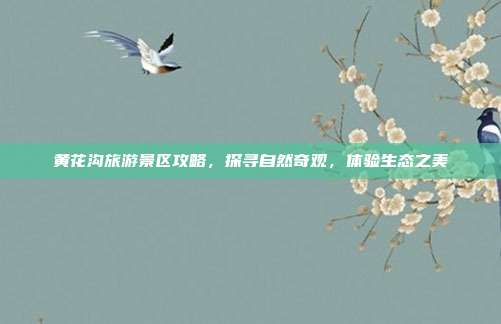 黄花沟旅游景区攻略，探寻自然奇观，体验生态之美