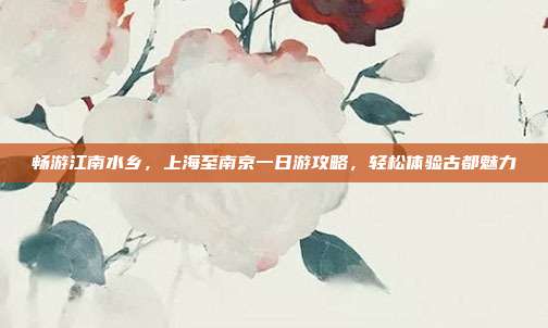 畅游江南水乡，上海至南京一日游攻略，轻松体验古都魅力