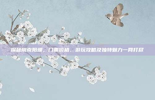 探秘陇南阳坝，门票价格、游玩攻略及独特魅力一网打尽
