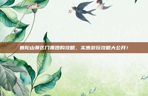 普陀山景区门票团购攻略，实惠游玩攻略大公开！
