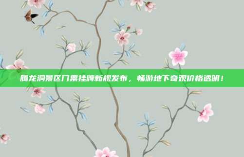 腾龙洞景区门票挂牌新规发布，畅游地下奇观价格透明！