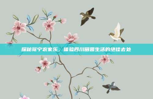 探秘冕宁农家乐，体验四川田园生活的绝佳去处