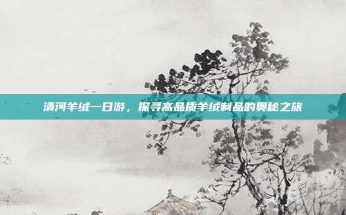 清河羊绒一日游，探寻高品质羊绒制品的奥秘之旅