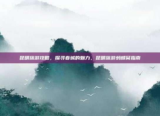 昆明旅游攻略，探寻春城的魅力，昆明旅游蚂蜂窝指南