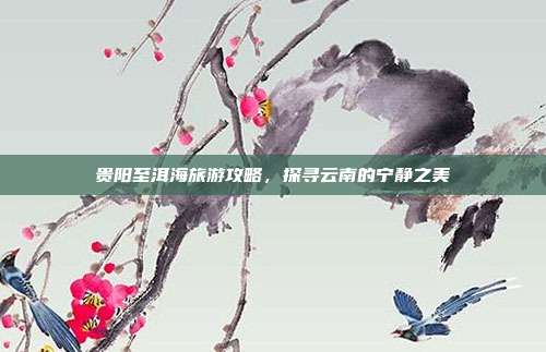 贵阳至洱海旅游攻略，探寻云南的宁静之美