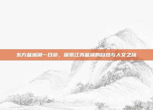 东方盐城湖一日游，探索江苏盐城的自然与人文之旅