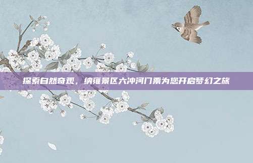 探索自然奇观，纳雍景区六冲河门票为您开启梦幻之旅