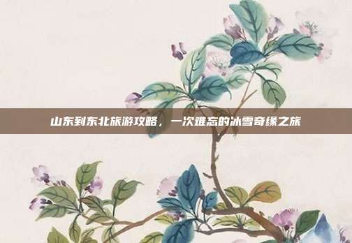 山东到东北旅游攻略，一次难忘的冰雪奇缘之旅