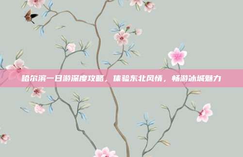 哈尔滨一日游深度攻略，体验东北风情，畅游冰城魅力