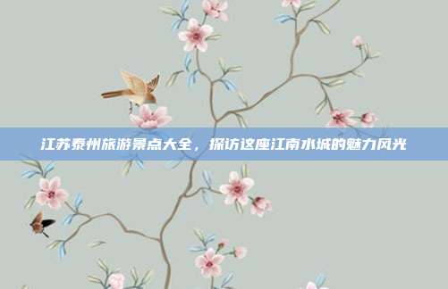 江苏泰州旅游景点大全，探访这座江南水城的魅力风光