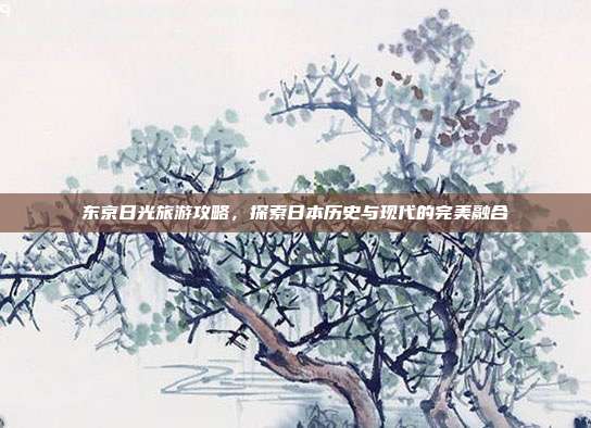 东京日光旅游攻略，探索日本历史与现代的完美融合